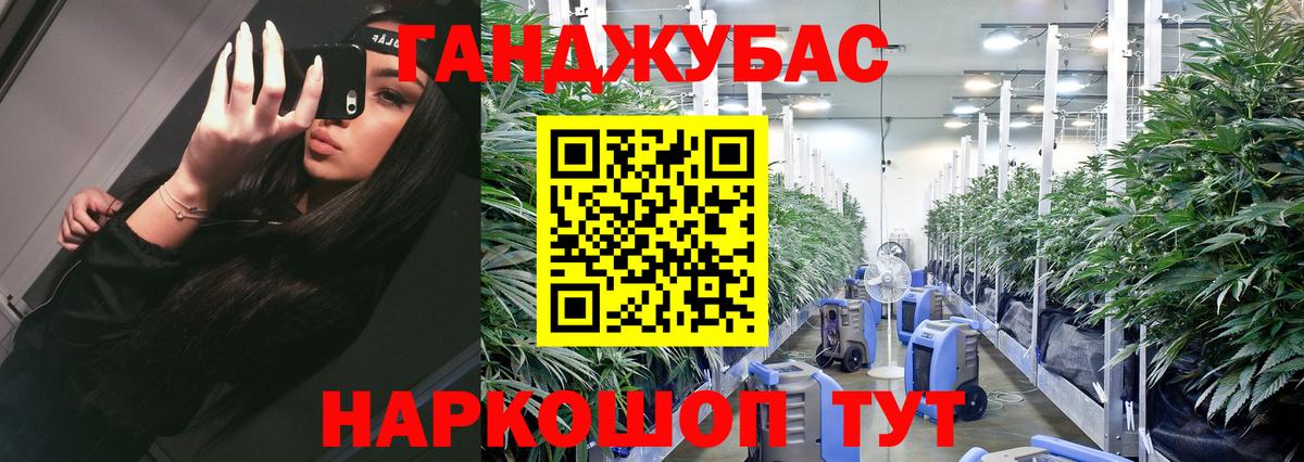 Каннабис индика Анжеро-Судженск